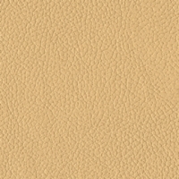 Golden Brisa